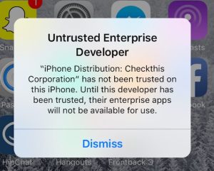 ntrusted Enterprise Developer, iPhone, error, fix, solutions, manually trust, app certificate, device update, app installer, security risks, cautious, permissions, app developer